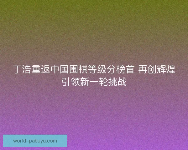 丁浩重返中国围棋等级分榜首 再创辉煌引领新一轮挑战