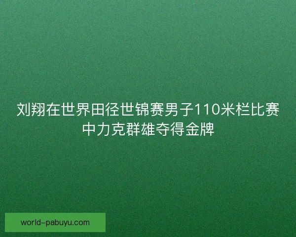 刘翔在世界田径世锦赛男子110米栏比赛中力克群雄夺得金牌